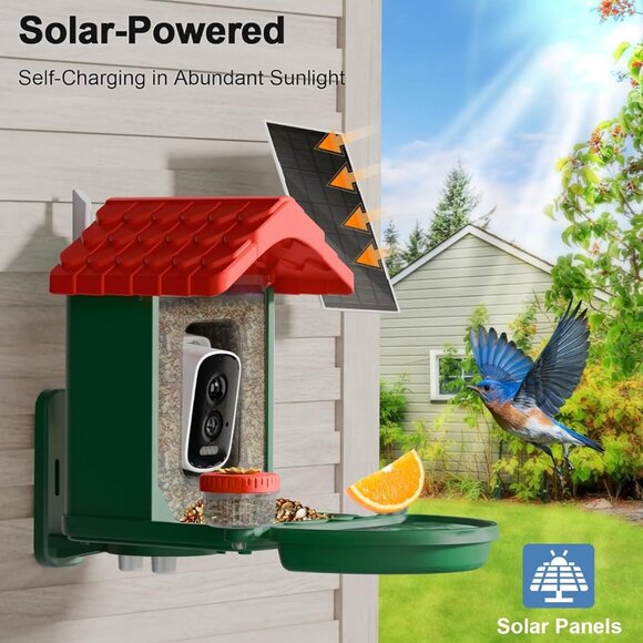 2-in-1 Smart Wild Bird Feeder & Bath with 4K HD Camera and AI Identification - Picture 5 of 8